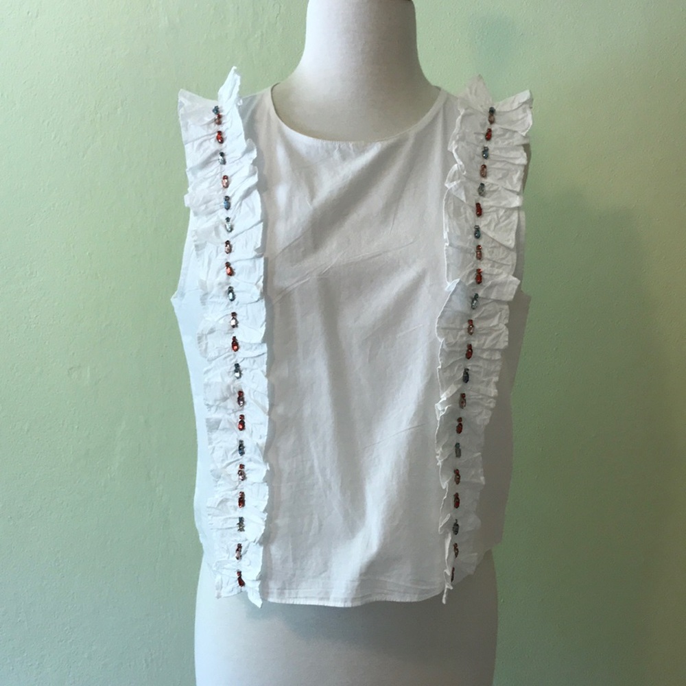 Zara Jeweled Crop Top